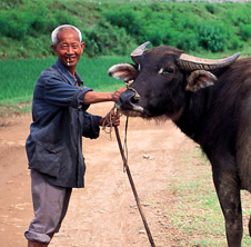 小型飼料顆粒機,農民圓夢!